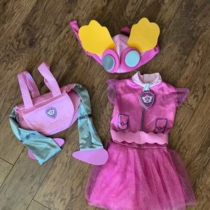 Paw Patrol Skye costume 3T